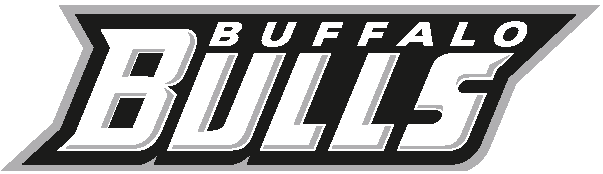 Buffalo Bulls 2007-Pres Wordmark Logo diy fabric transfer